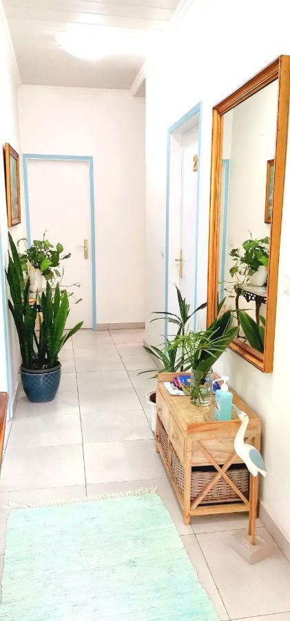 Home & Flower - Private Bedrooms Funchal 外观 照片