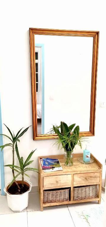 Home & Flower - Private Bedrooms Funchal 外观 照片