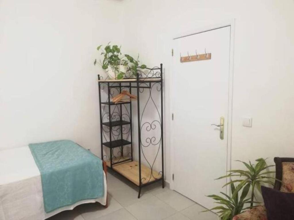 Home & Flower - Private Bedrooms Funchal 外观 照片